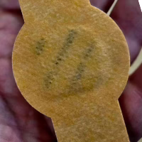 Array image